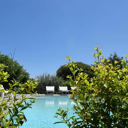 Le Di Bacco * סנטה ונרינה