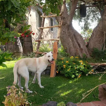 בית נופש Le Di Bacco סנטה ונרינה