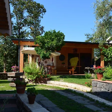 Le Di Bacco * סנטה ונרינה