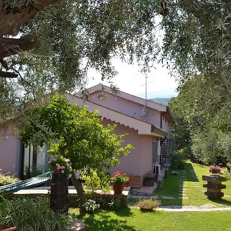 Le Di Bacco * סנטה ונרינה