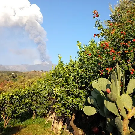 Le Di Bacco * סנטה ונרינה