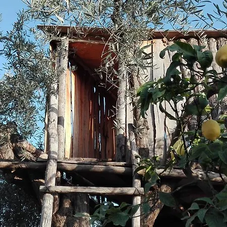 Le Di Bacco סנטה ונרינה