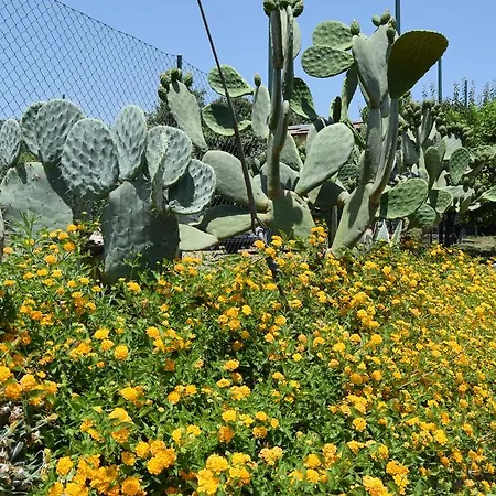 Le Di Bacco * סנטה ונרינה