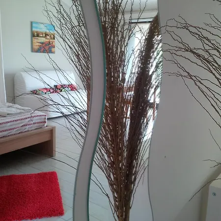 Le Di Bacco * סנטה ונרינה