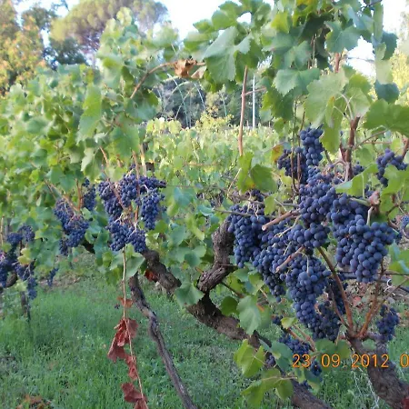 Le Di Bacco בית נופש *